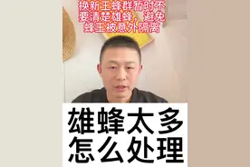 简单有效处理雄蜂的方法。#雄蜂怎么处理 #雄蜂脾 #中蜂养殖技术讲解 #养蜂技术分享#龙泉山邓不耙视频封面