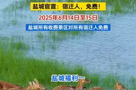 盐城官宣：6月14日～6月15日期间，盐城所有收费景区对所有宿迁人免费！宿迁籍游客凭身份证免费入园！#江苏城市足球联赛 #宿迁#盐城#景区 #免费视频封面