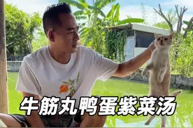 在平凡的农村生活里，知足常乐也是一种幸福！ 美好的一天从酸爽可口的笋酸米粉开始！今日份：包菜炒饭，牛筋丸鸭蛋紫菜汤，腌制芒果，简简单单又一餐！ #我的乡村生活 #在拍一种很新的vlog #100种很新的人生体验 #万物皆可种草搜 #潮汕农村生活vlog