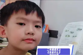 二年级语文上册《我是什么》课外拓展 #二年级语文 #我是什么