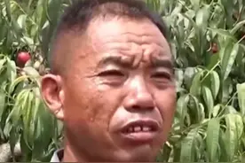 桃大甘甜！当地农户：今年能卖10万元视频封面