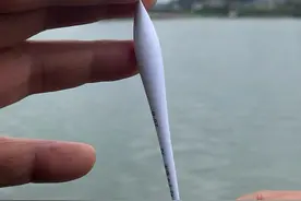 春天钓鱼，最强的调钓方式来了，其他的都是弟弟 #钓鱼的乐趣只有钓鱼人懂 春天钓鱼最强的调钓方式#春天的鱼应该怎么钓 #分享钓鱼知识视频封面