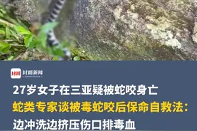 27岁女子在三亚疑被蛇咬身亡，蛇类专家：初步判断可能是银环蛇。被毒蛇咬后保命自救法：边冲洗边挤压伤口排毒血。#蛇#三亚