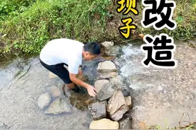 溪流改造 在家门口的溪流里用石头修了个坝子，方便鱼虾停留，你们说放点什么鱼比较好呢？ #我的乡村生活 #新农人计划2025 #乡村守护人 #跟着辉哥干三农