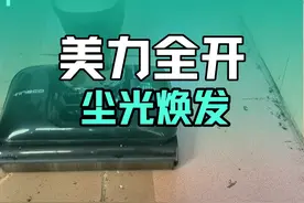 这是什么清洁神器？这不就是春日限定版的添可芙万Peris#添可洗地机#芙万Peris #芙万巴黎假日视频封面