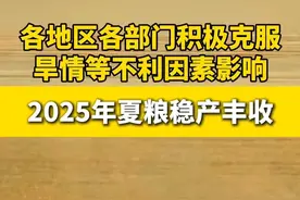 各地区各部门积极克服旱情等不利因素影响 2025年夏粮稳产丰收#粮食 #夏粮 #抗旱