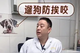 遛狗防挨咬 #遛狗 #狗咬狗 #狗咬狗咋办 #放狗打架 #狗打架视频封面