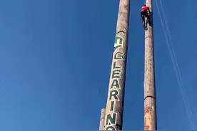 国际伐木工锦标赛，爬树半分钟，摔下5秒钟#极限运动#伐木工人世锦赛 #伐木工#危险动作请勿模仿