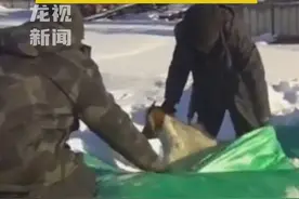 三只羊离奇失踪惊动警方，没想到藏这儿了！这属于躲猫猫玩砸了吧？十天居然没啥事儿，命不该绝？视频封面