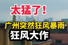 太猛了！广州突然狂风暴雨，呼呼大作！网友：现场有点吓人！