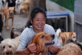 这里没有供奉神像，但小狗们簇拥着心软的神明… #在拍一种很新的vlog #帕特公益 #帕特 #守护萌友  #流浪狗