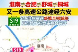 又一条高速公路途经六安！S19淮桐高速！ #抖音小助手 #高速公路 #最新消息 #安徽 #淮桐高速视频封面
