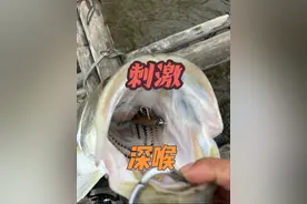 水面炸裂 肾上腺素飙升的一集#路亚海鲈 #路亚野钓#原来钓鱼才是抖音运动顶流视频封面