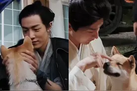 在肖战怀里撒娇，躺成毅身上玩～内娱打工狗“大黄老师”已参演18部作品，片酬约5位数。主人：它在剧组和演员同等待遇，今年还有5部戏待播#肖战 #成毅 #曾舜晞 #张晚意视频封面