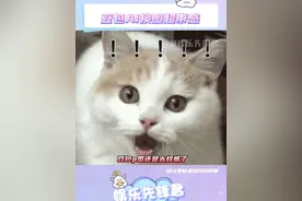 豆包p图这波操作，我愿称之为 “照片人生规划师”  #豆包ai #豆包p图 #如何用豆包p图 #豆包p图太权威了