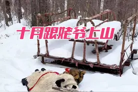还记得你们小时候爷爷奶奶姥姥姥爷带你们发生的有趣事吗？#农村生活 #记录真实生活 #30年前的农村生活 #姥爷视频封面