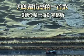 人最怕动了情，歌最怕入了心，你陪我一程，我念你一生... #德令哈一夜 #刀郎 #就怕歌词入了心 #创作灵感 #把爱印在时光里