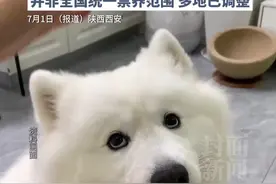 西安回应重点禁养区禁养金毛和萨摩耶：“2012年开始施行的，按平均肩高划分。”该名录并非全国统一禁养范围，多地已调整。