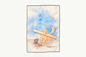 狗狗看到小猫咪被困水中， 聪明的它叼来木板解救，这一幕太暖心啦！#狗狗 #狗狗的心思都写在脸上了 #狗狗是生活的解药 #治愈系 #暖心视频封面