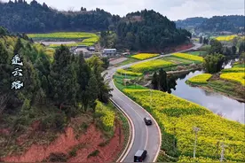 #四川大英 一镜到底航拍紫云桥到古柏道路。#无人机航拍视频封面