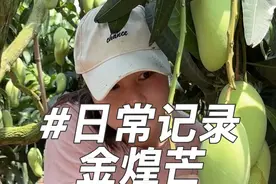 90后远嫁海南大山实现芒果自由的一天#记录真实生活#我的乡村生活#日常vlog #农村女孩日常 #向往的生活视频封面