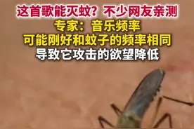 这首歌能灭蚊？不少网友亲测，专家回应：音乐频率可能刚好和蚊子的频率相同，导致它攻击欲望降低。（广州日报）