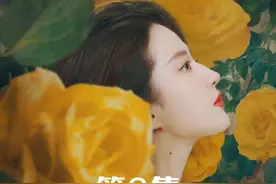 黄亦玫促成T娜和收藏家滕先生见面，给滕先生留下了深刻的印象视频封面