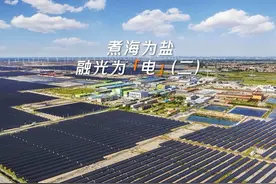 阳光“盐光互补”电站：清洁绿电守护碧海蓝天！ #阳光新能源视频封面