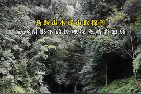 马鞍山水库山取探险：巨蟒阴影下的惊魂之旅精彩回顾#山取 #哀牢山 #云南哀牢山仙境 #哀牢山马鞍山水库 @云南哀牢山仙境视频封面
