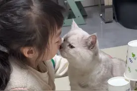 这么双标？究竟是不是亲生的！ #猫和孩子 #人类幼崽