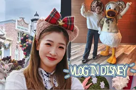 🏰#香港迪士尼  #玲娜贝儿贴贴  #烟花秀 🎆快乐值拉满～视频封面