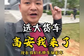 这琳琅满目的大货车，应该怎么选呀？试了七八辆车