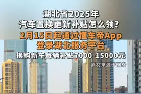 攻略来了！教你领2025年湖北汽车置换更新补贴，最高1.5万别错过#领汽车国补就上懂车帝 #汽车国补官方指定平台懂车帝 #2025年汽车国补怎么拿 视频封面