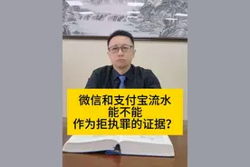 微信和支付宝流水能不能作为拒执罪的证据？只做执行案件的律师！ #创作灵感 #拒执罪#微信流水#支付宝流水#律师 @北京市智舟律师事务所 @执行律师-(拒执罪）视频封面