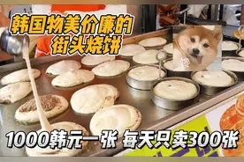 韩国街头物美价廉的烧饼，1000韩元一张从不涨价，一天只卖300张视频封面