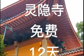 赶紧收藏，杭州灵隐寺，这12天免门票视频封面