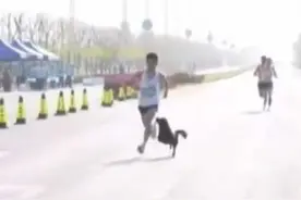 马拉松赛道上被狗追你们见过吗？这算不算物理外挂？#跑步 #马拉松 #比赛现场 #抖音小助手 #我要上热门视频封面