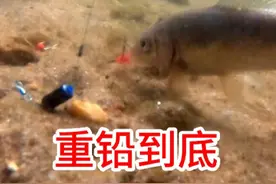 重铅到底真的好钓鱼吗？水下测试视频告诉你答案#调漂技巧 #钓鱼