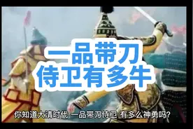 一品带刀侍卫#金戈铁马身披麒麟甲 #清朝那些事视频封面