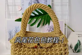 凤尾花包包教程-1#爱生活爱编织 #手工diy #diy手工包包 #爱手工爱生活视频封面