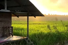 原来晴天和雨天是可以同时遇到的. #旅行大玩家 #治愈系风景视频封面