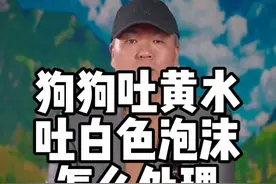 狗狗吐黄火吐白色泡沫怎么处理#科学养宠攻略 #养狗经验分享 #狗狗 #萌宠百科 #狗狗是宠物更是家人视频封面