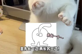 第一次遇到这样离谱的事！只有猫有这个情况吗！#智驾卷王阿维塔#阿维塔11@阿维塔