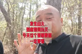 发生山火后，到底该怎么灭火，今天这个视频教程视频封面