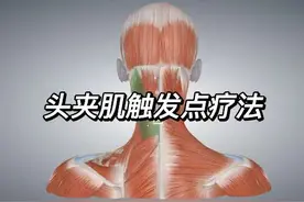 头夹肌解剖和触发点疗法#人体结构 #体态纠正 #3dbody解剖视频封面