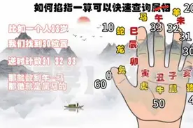 如何掐指一算快速查询属相  #易经文化 #传统文化 #风水玄学视频封面