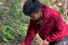 没想到买了上千根木棒配百年风化石，改造的溪流院墙效果太好了，改造小院院墙完整版#装修人没有假期#小院改造 #乡村守护人#创作灵感 #新农人计划2023视频封面