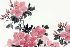 跟我一起画国画：写意杜鹃花 #国画教程 #每日一画 #传统文化 #一起学画画 #云屋画室视频封面