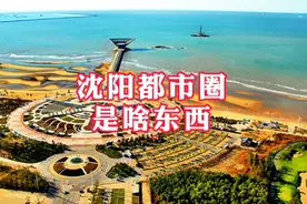 据说沈阳都市圈成立了，周围六市一区同城化发展，到底是怎么回事视频封面