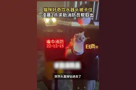 猫咪玩饮水器卡住头消防员帮取出#猫咪 #消防员 视频封面